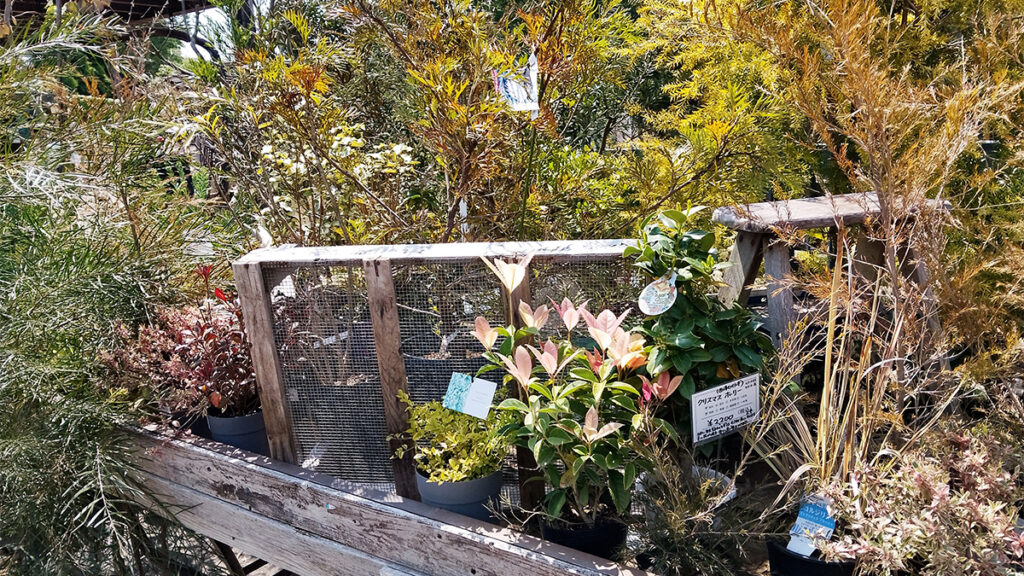 08_theFarm_所狭しと植物