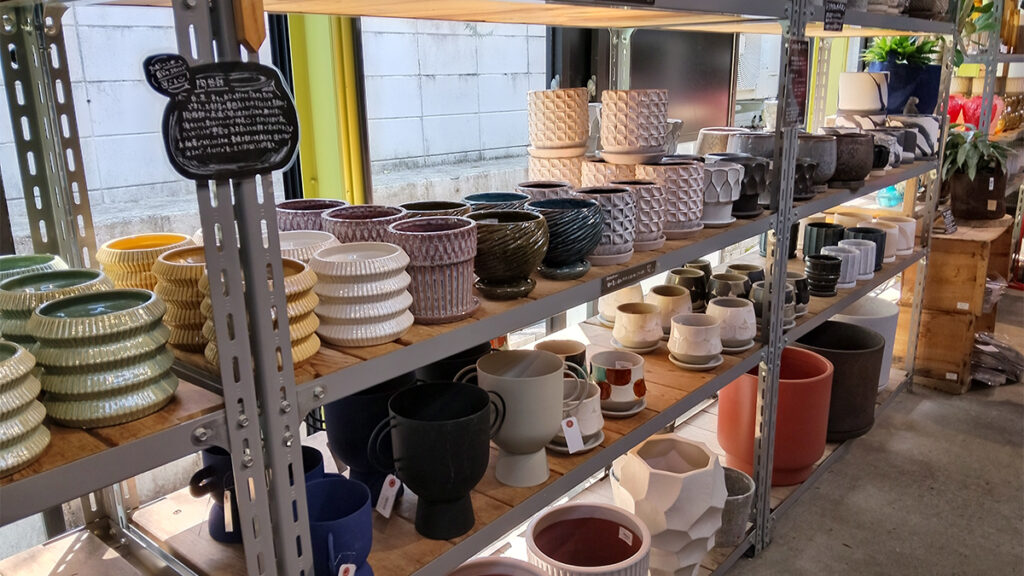 10_theFarm_観葉植物の鉢
