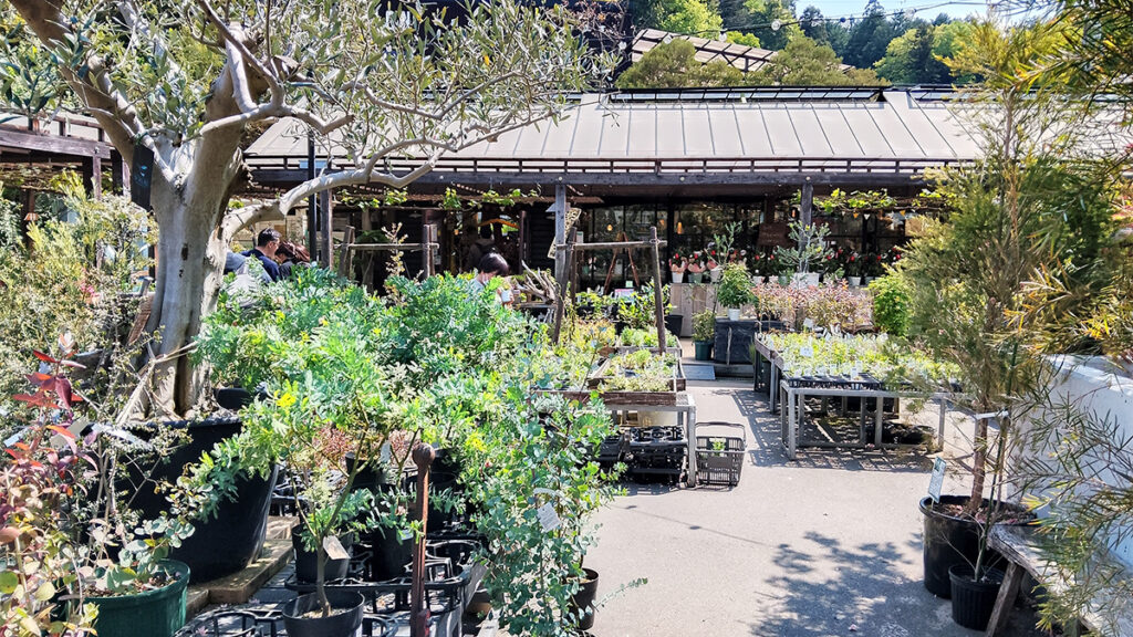 13_theFarm_大小様々な植物がいっぱい