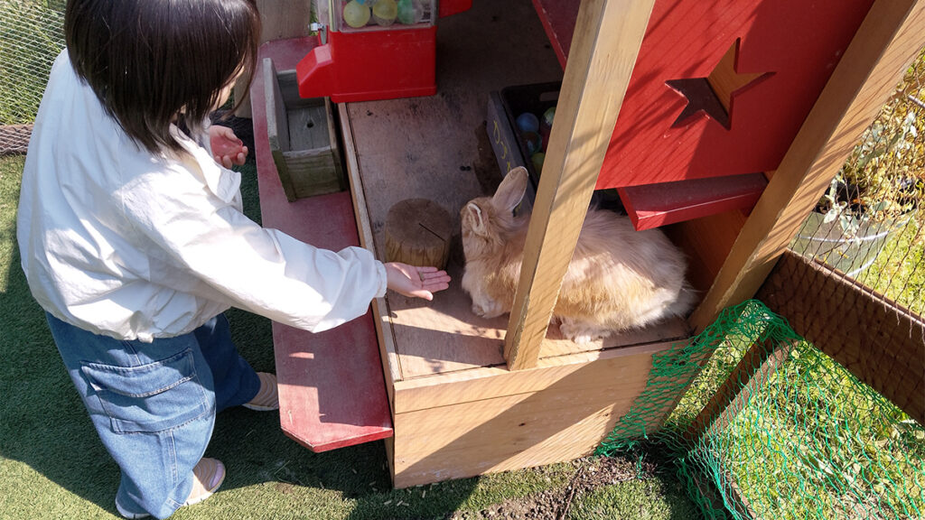 27_theFarm_餌をあまり食べてくれません。お腹いっぱいなのか