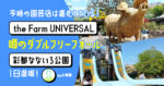 theFarmとダブルフリーフォール