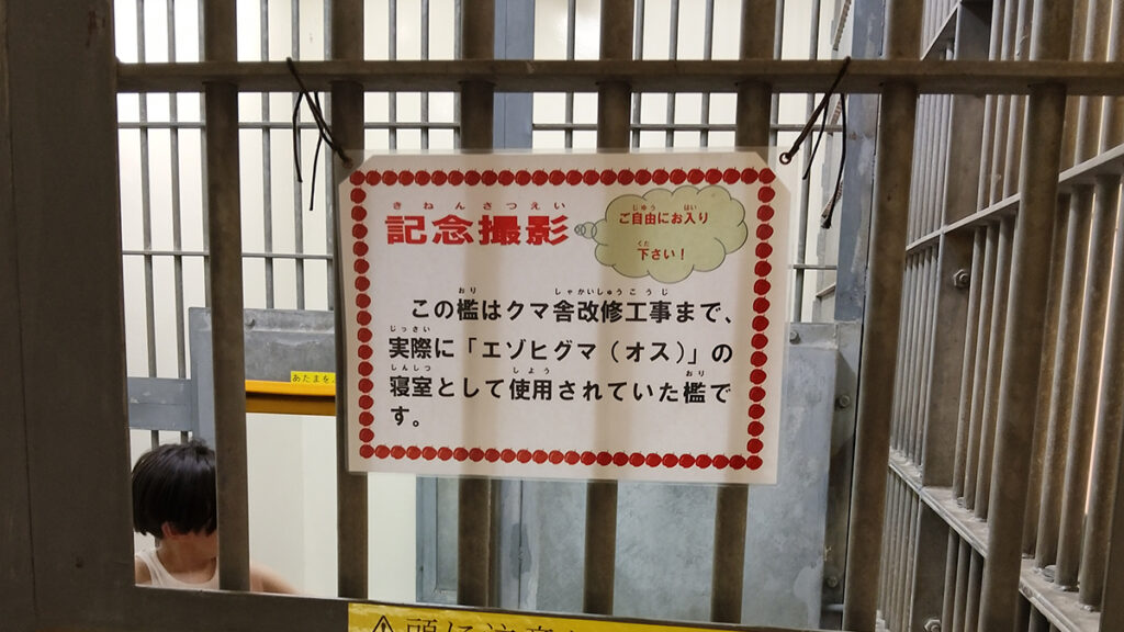 009熊の檻