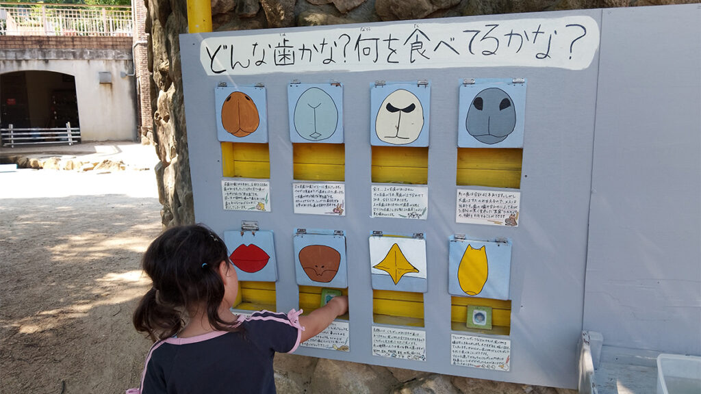 028動物とこどもの園内_動物のことをよく知る勉強
