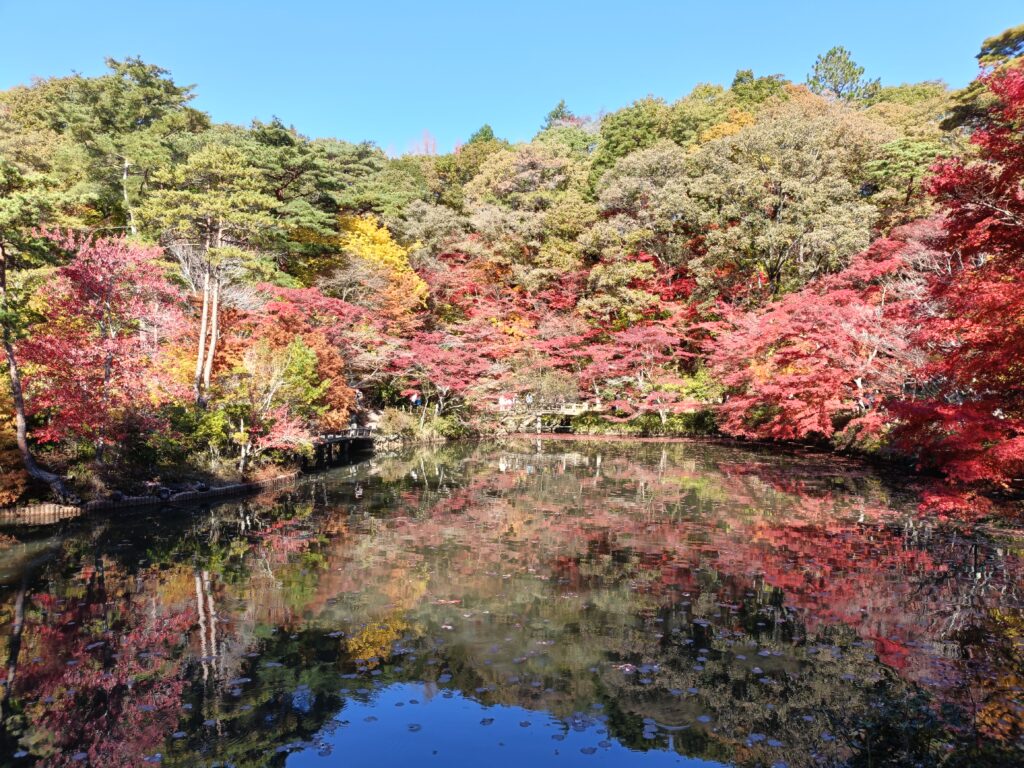 18湖面に映る紅葉