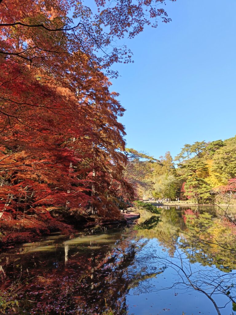19空とのコントラストが最高に美しい