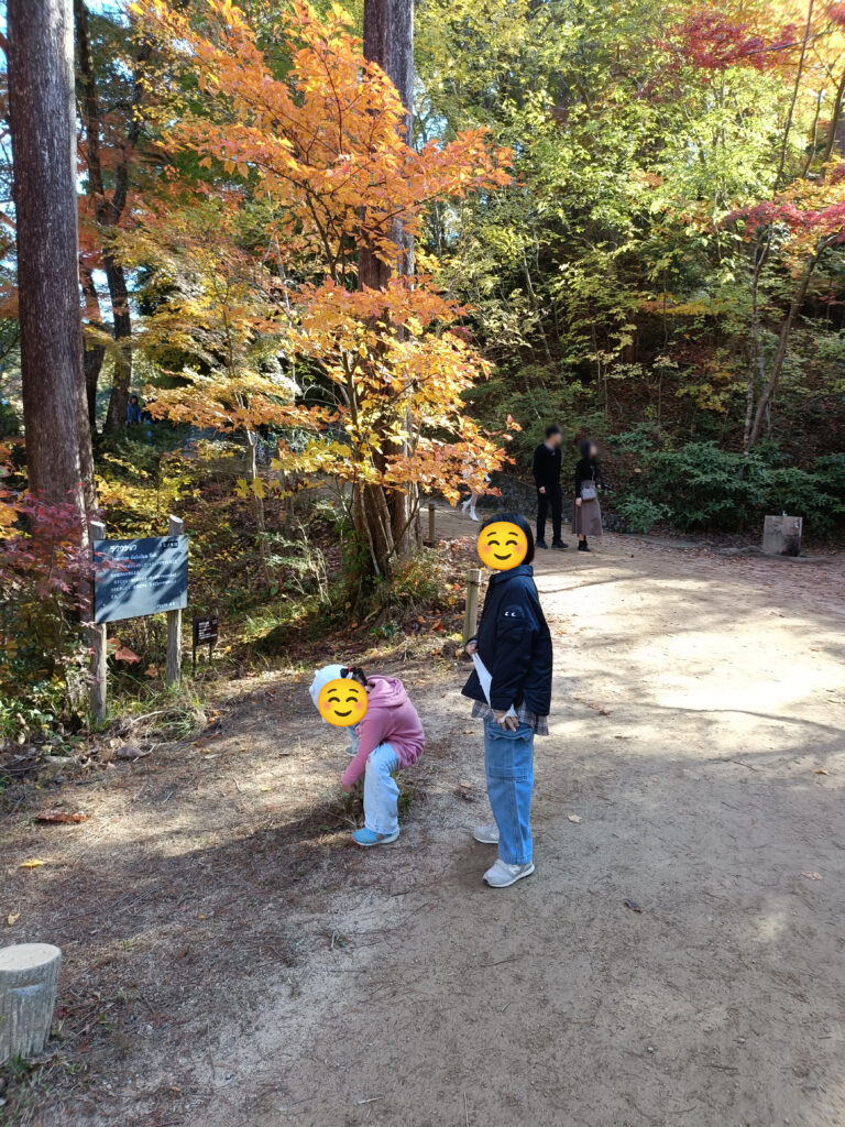 20湖面と紅葉に見惚れる子供