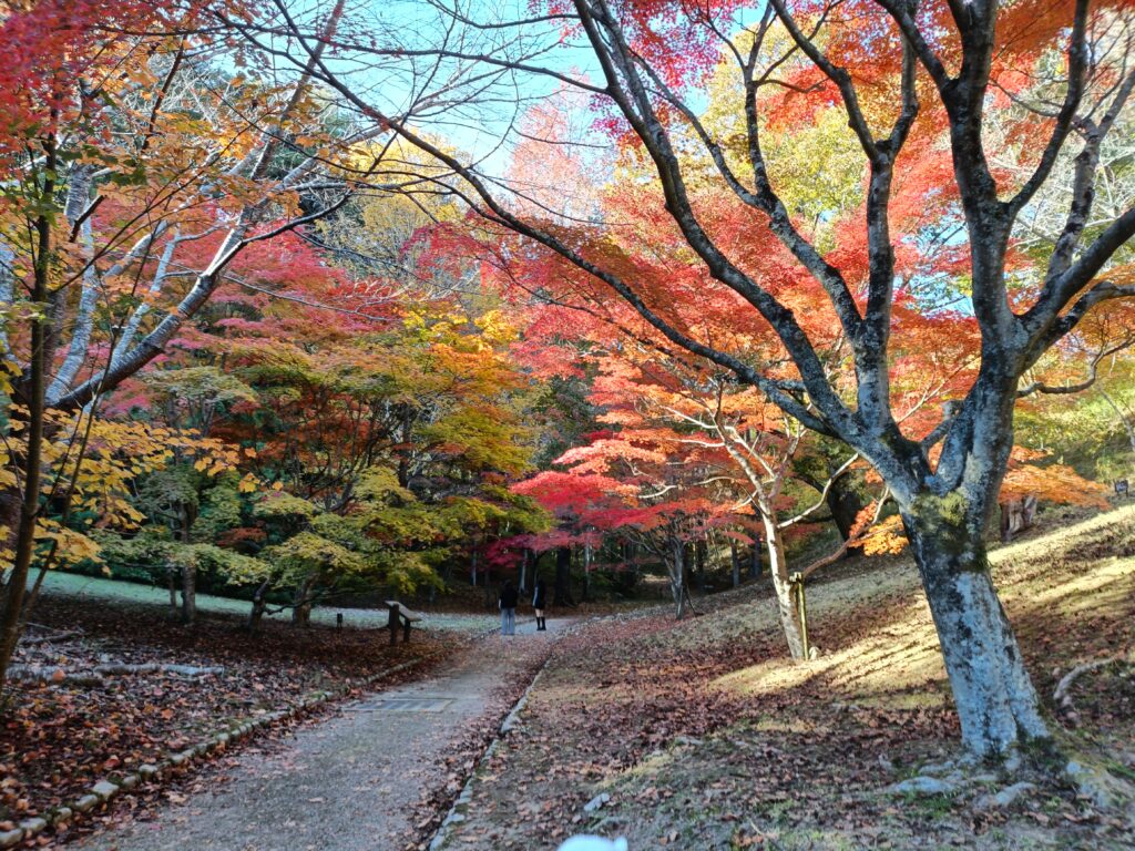 21この通りも美しい